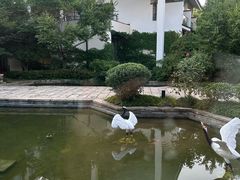 -广富林宰相府酒店·水云间