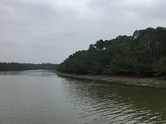 -东寨港红树林旅游区