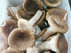 -畲乡一品鱼府土菜馆