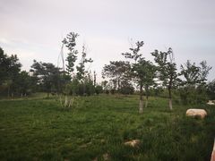 -汉长安城未央宫国家考古遗址公园