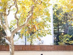 -衡山路(地铁站)