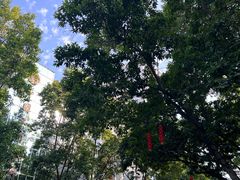 -建国蚵煎蚵面