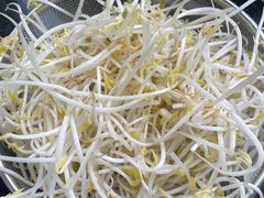 豆芽-钟方模白家肥肠粉(春熙店)