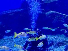 -海合安武汉极地海洋公园