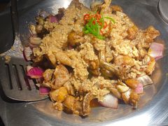 -蛙小侠(珠海华发商都店)