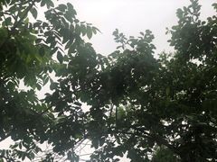 -房山世界地质公园博物馆