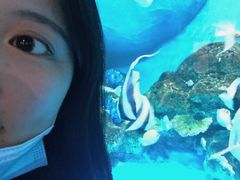 -厦门海底世界