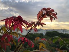-苏州吴中太湖旅游区