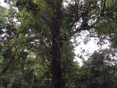 -四川大学(望江校区)