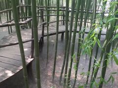 -竹泉村旅游度假区