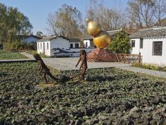 -溱湖国家湿地公园