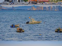 -烟台海昌鲸鲨海洋公园