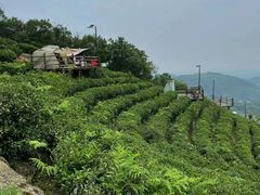 -长沙黑麋峰国家森林公园