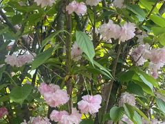 -白鹭湾湿地公园