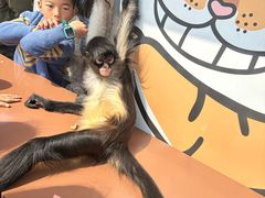 -上海野生动物园老虎餐厅