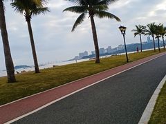 -野狸岛