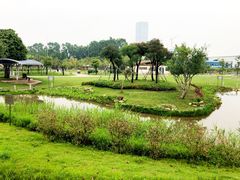 -海珠儿童公园
