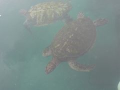 -硇洲岛旅游区