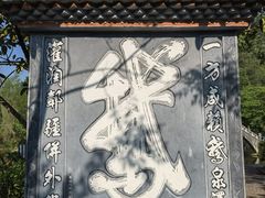 -靖西鹅泉风景区