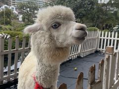-舟山朱家尖绿城威斯汀度假酒店