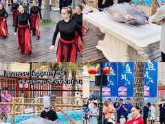 -三亚海昌梦幻海洋不夜城