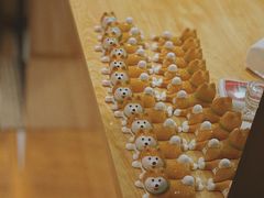 -柴务处·柴犬主题狗咖