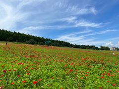 -帽儿山国家森林公园