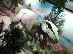 -国家自然博物馆