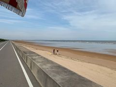 -日照海滨国家森林公园