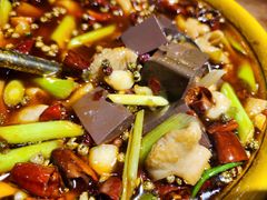 肥肠血旺-文记四川鱼馆(小纬北路店)