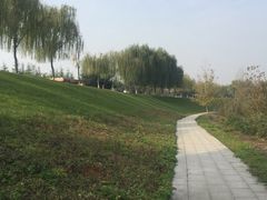 -洨河生态公园
