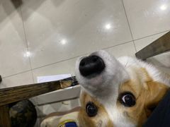 -木卡买提新疆餐厅·清真(新里海顿公馆店)