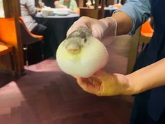 -肆月河豚·淮扬菜·湘菜(华天店)