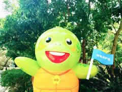 -广东惠东海龟国家级自然保护区