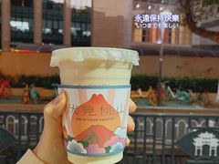 -伏小桃(明瓦廊店)