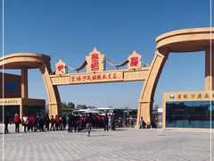 -金塔沙漠胡杨林景区