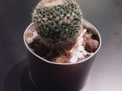 -喜茶(深圳东门1234店)