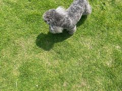 -不觉晓CAMPING(上海迪士尼营地店)