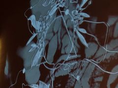 -MEDISN·药厂