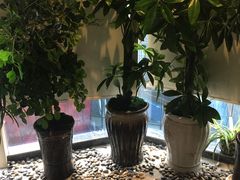 -拾贝海鲜馆（海鲜粤菜）(花果园店)