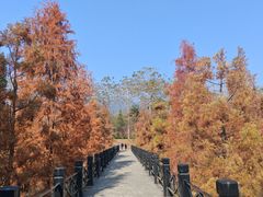 -田野绿世界