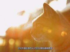 -博纳国际影城(乐和城店)