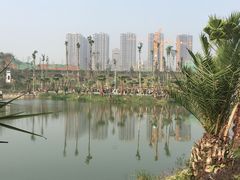 -枫香湖儿童公园