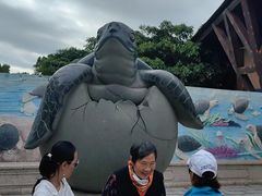 -广东惠东海龟国家级自然保护区