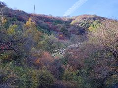 -北京西山国家森林公园