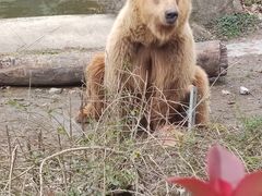 -宁波野生动物园