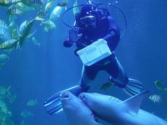 -太平洋海底世界