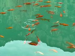 -山西通天峡景区