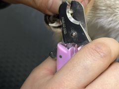 -美联众合动物医院·24h京西诊疗中心