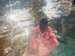 -崇阳三特浪口温泉